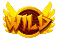 logo RADEN89